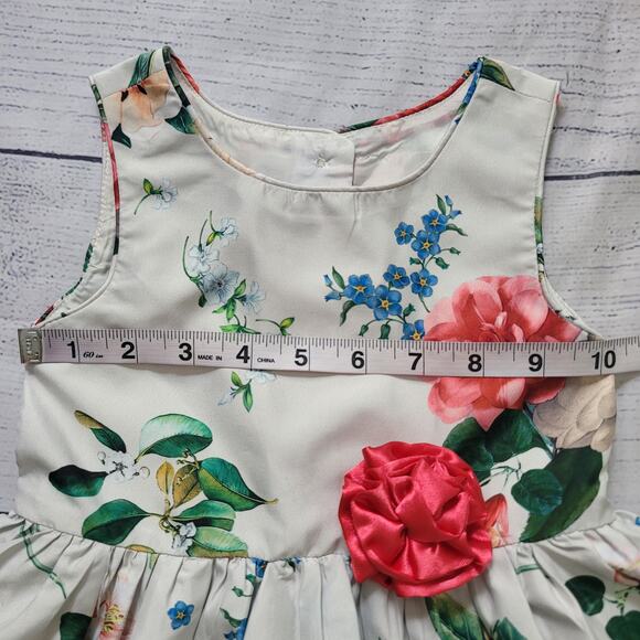 Pippa & Julie Size 3T Floral Off-White Lined Party Dress Flower Sleeveless Twee - Picture 2 of 7